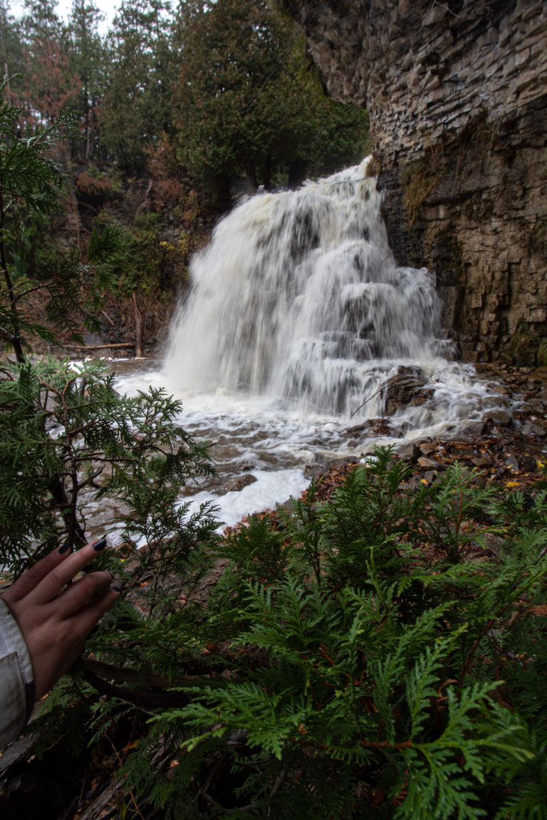 Discovering Jones Waterfall